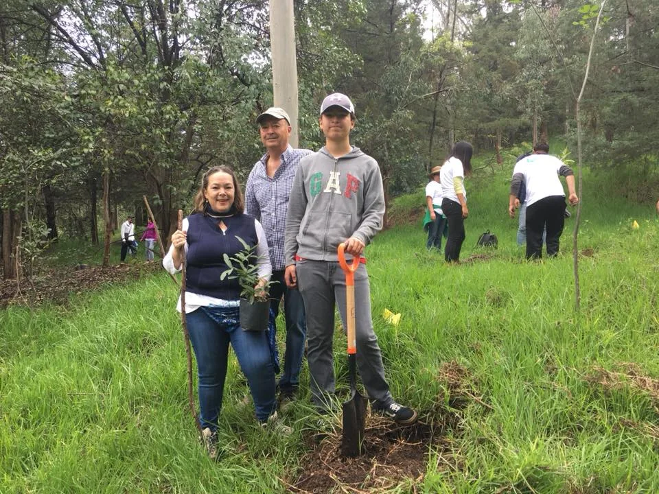Imagen de portada de «Participa: Jornada de mantenimiento forestal en Cerro Zacatépetl, 18 Mayo».