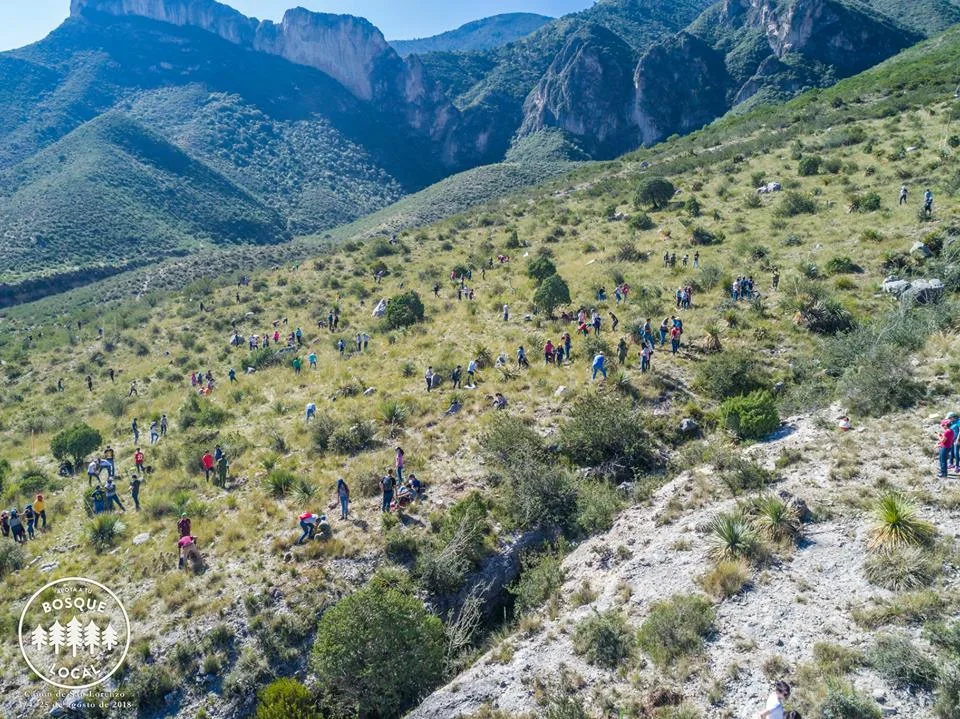Imagen de portada de «Continúa con éxito reforestación en Zapalinamé ¡Súmate!».