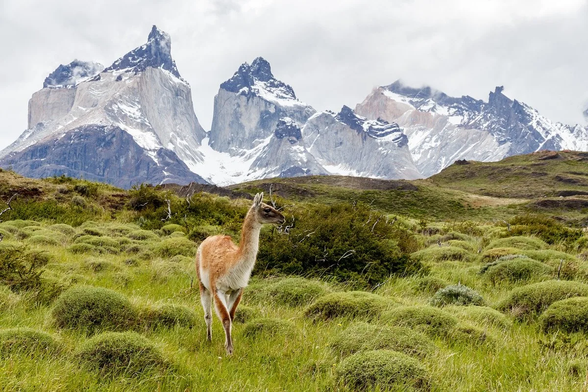 Imagen de portada de «Argentina, Brasil y Chile cierran parques nacionales ante COVID-19».