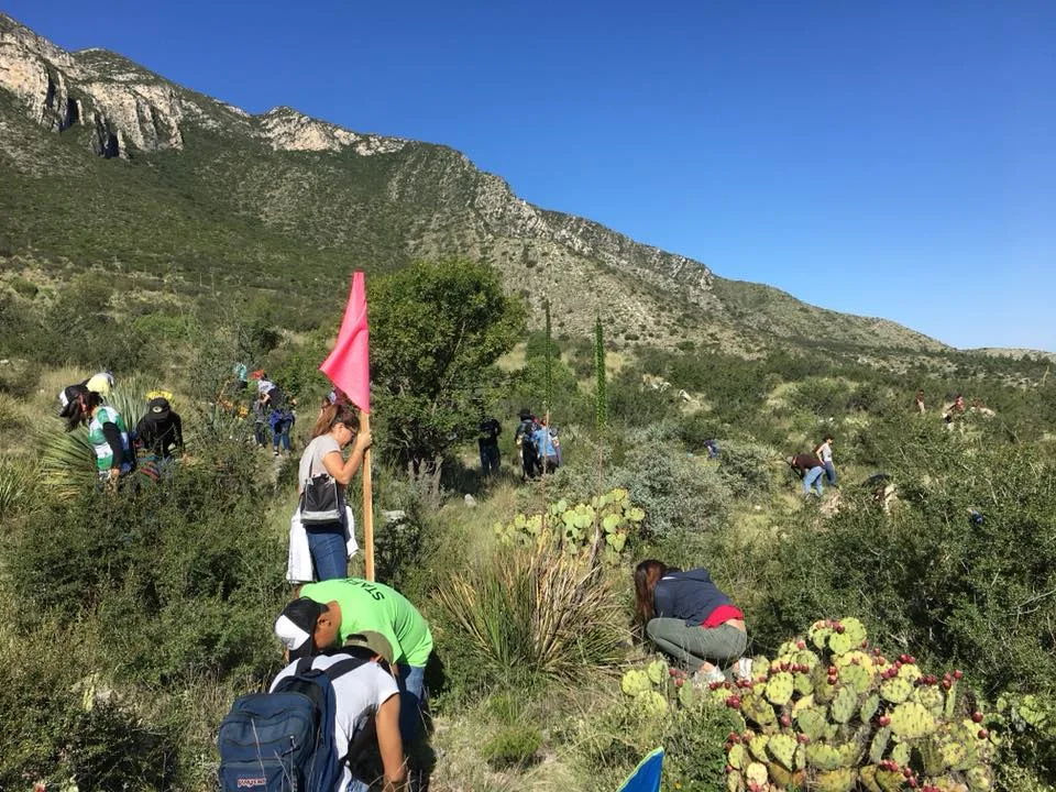 Imagen del archivo de «Continúa con éxito reforestación en Zapalinamé ¡Súmate!».