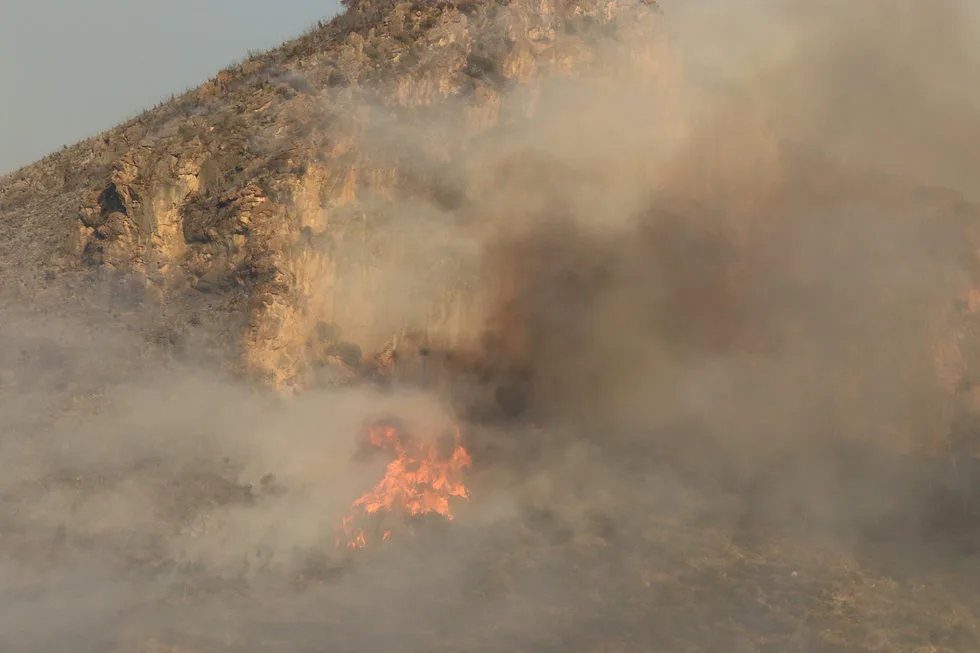 Imagen del archivo de «Incendio provocado arrasa con 400ha de la Sierra de Zapalinamé, Coahuila».