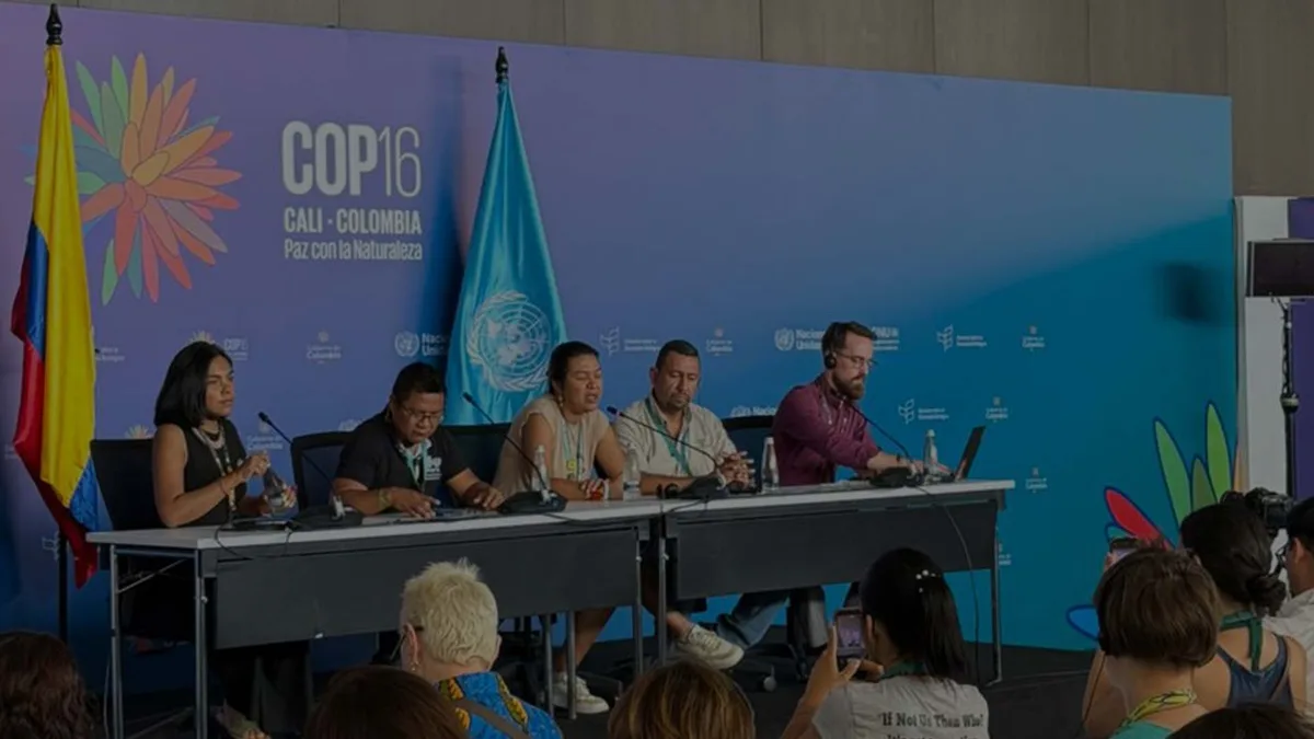 Imagen de portada de «La COP16 en Cali: Un llamado urgente para la protección de la biodiversidad».
