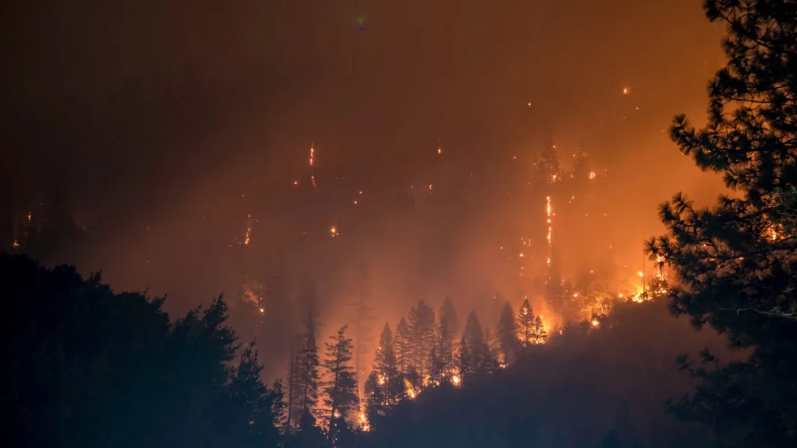 Imagen del archivo de «Incendios forestales en México: los deportistas outdoor también debemos actuar».