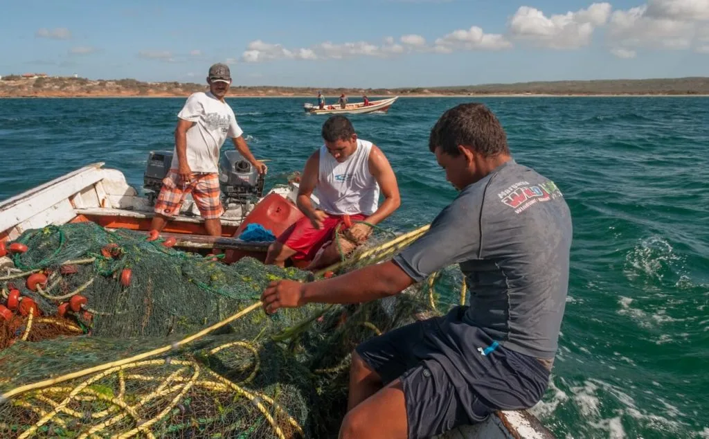 Imagen del archivo de «Desiertos los mares: gobierno convoca a pescar tiburón blanco en Oaxaca».