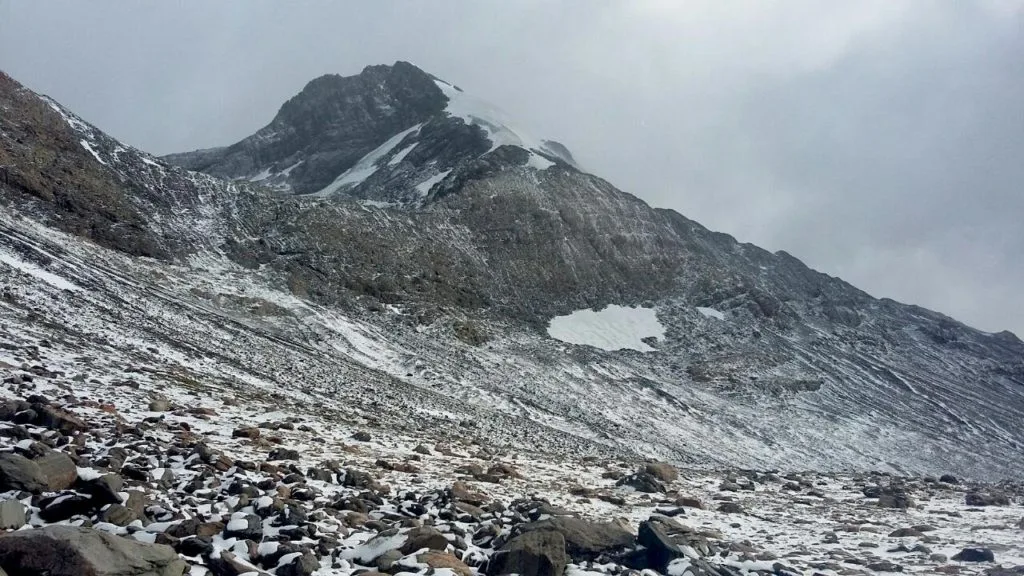Ultrafiord 12