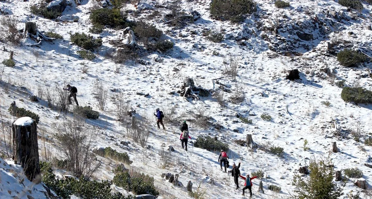 Imagen de portada de «Sierra de Arteaga: Montañismo mexicano de altura en Coahuila».