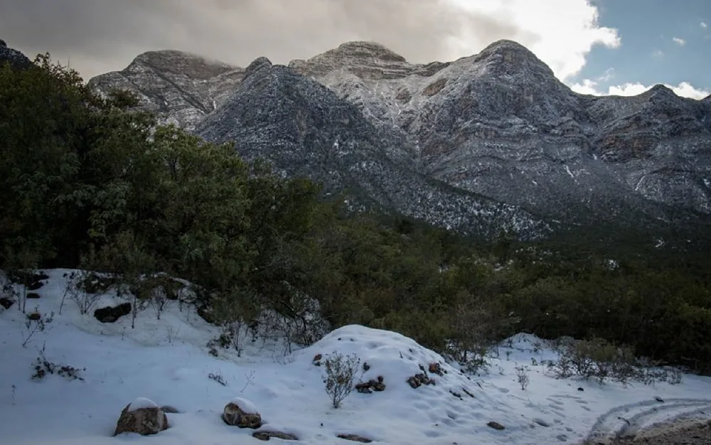 Imagen del archivo de «Así se puso la nevada en los cerros de Monterrey, la mayor en 20 años».