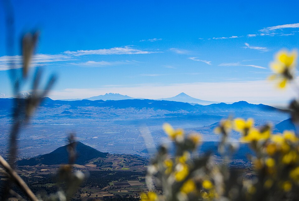 Vista distante del Iztaccíhuatl y el Popocatépetl desde el Xinantécatl, con flores en primer plano.