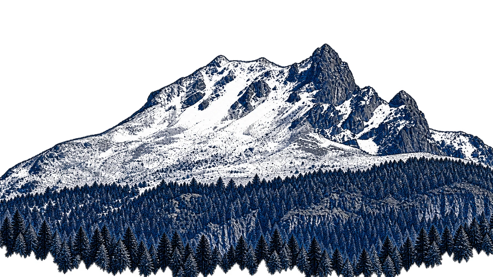 Ilustración en tinta negra y azul de la cresta asimétrica de La Malinche, con bosque en la parte inferior.