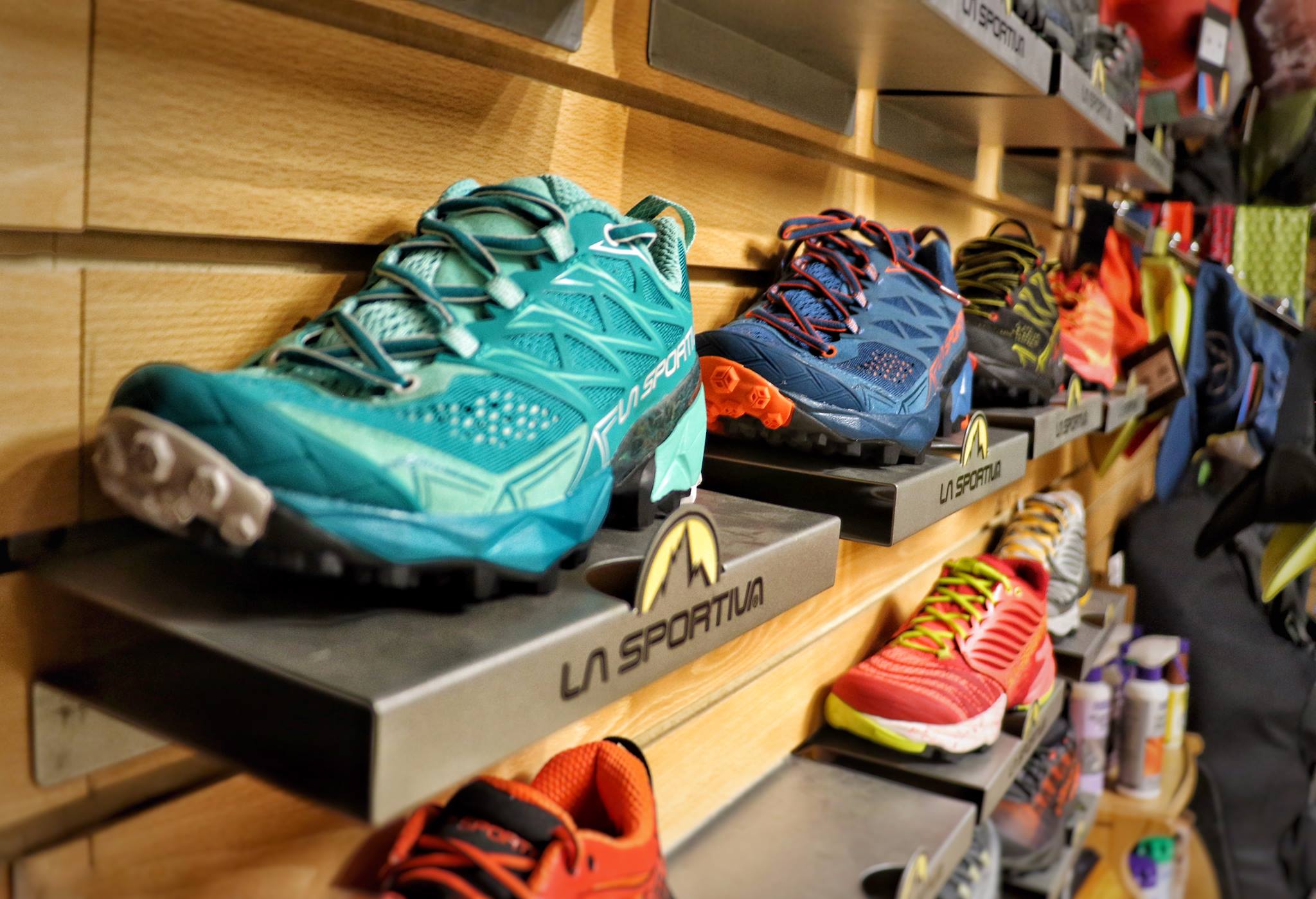 15418480_10210156356718267_5184165882510972271_o