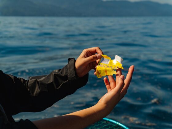 Limpieza mar Luca Benedetti